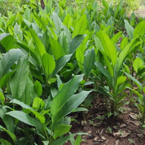 cbcda48f-e8bb-4863-9b7d-4a6dceadad73