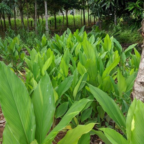 d15395ee-65b8-4bf6-b623-b89885df95c5