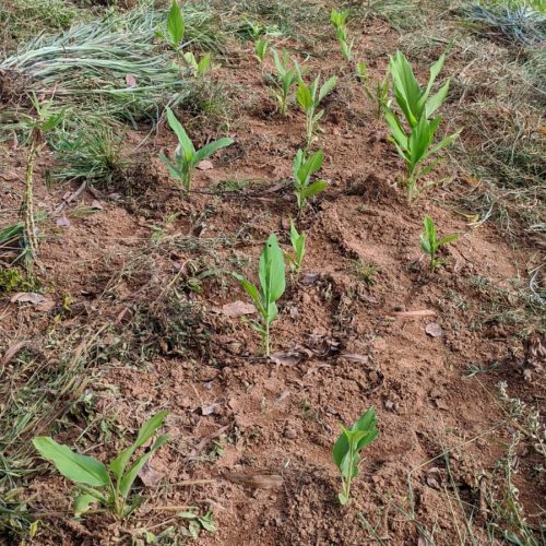 d96f8ccb-395f-438a-9927-9e33403eca92