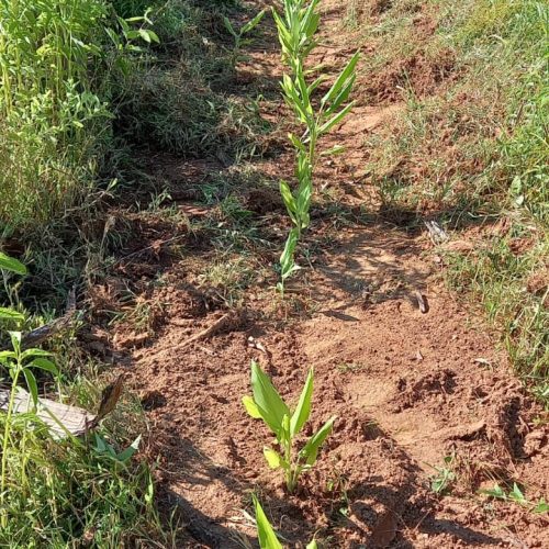 eaf64688-9b15-4ab6-a273-77c1d7763a59